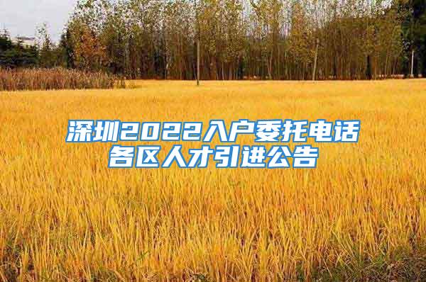 深圳2022入户委托电话各区人才引进公告