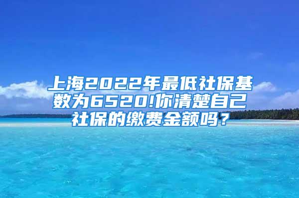 上海2022年最低社保基数为6520!你清楚自己社保的缴费金额吗？