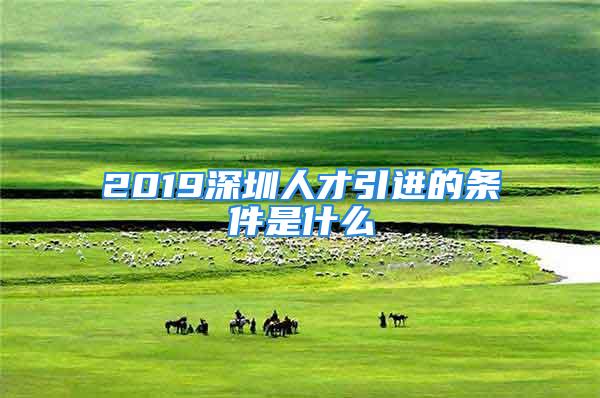 2019深圳人才引进的条件是什么