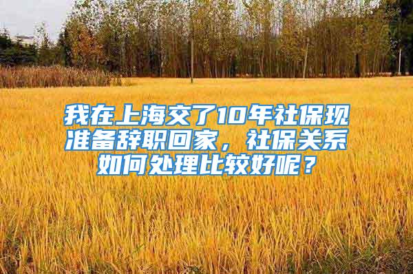 我在上海交了10年社保现准备辞职回家，社保关系如何处理比较好呢？