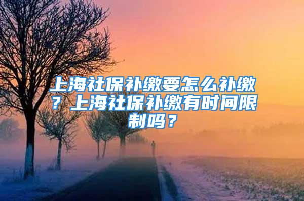 上海社保补缴要怎么补缴？上海社保补缴有时间限制吗？