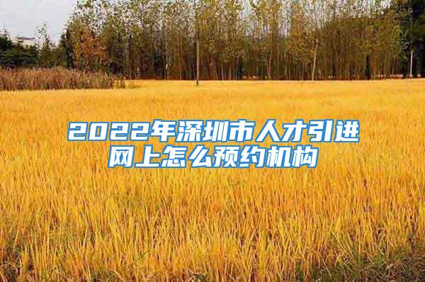 2022年深圳市人才引进网上怎么预约机构