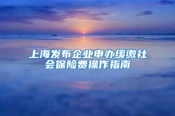 上海发布企业申办缓缴社会保险费操作指南