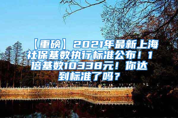 【重磅】2021年最新上海社保基数执行标准公布！1倍基数10338元！你达到标准了吗？