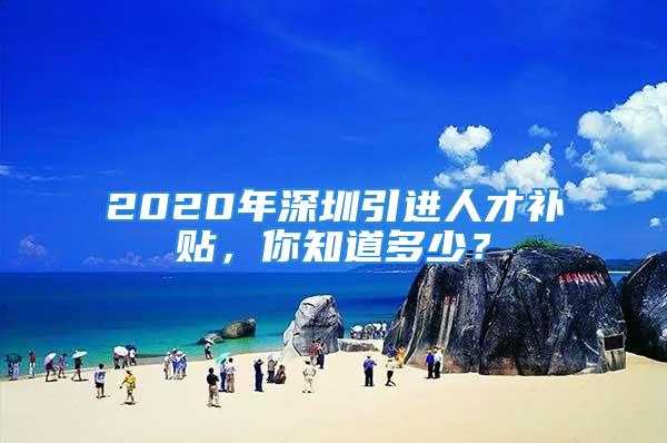 2020年深圳引进人才补贴，你知道多少？