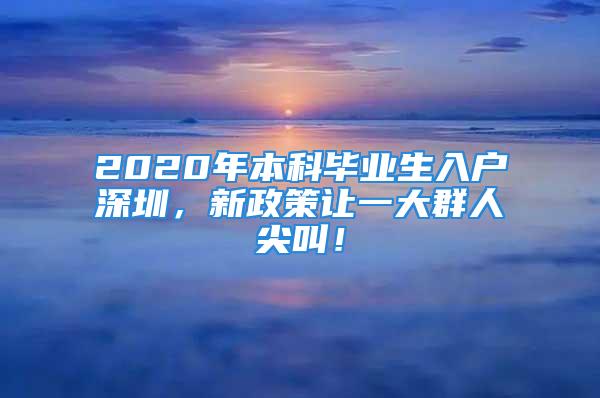 2020年本科毕业生入户深圳，新政策让一大群人尖叫！