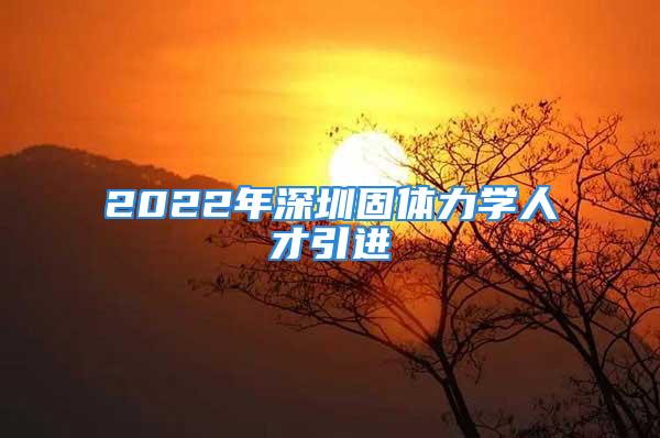 2022年深圳固体力学人才引进