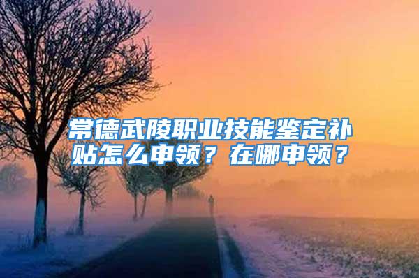 常德武陵职业技能鉴定补贴怎么申领？在哪申领？