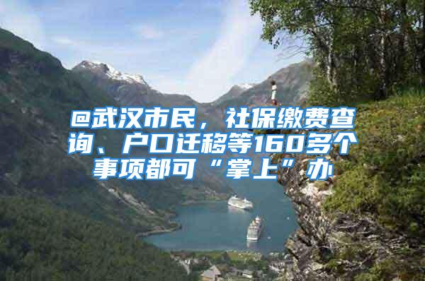 @武汉市民，社保缴费查询、户口迁移等160多个事项都可“掌上”办