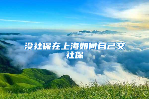 没社保在上海如何自己交社保