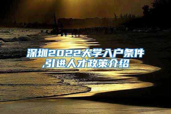 深圳2022大学入户条件,引进人才政策介绍