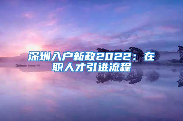 深圳入户新政2022：在职人才引进流程