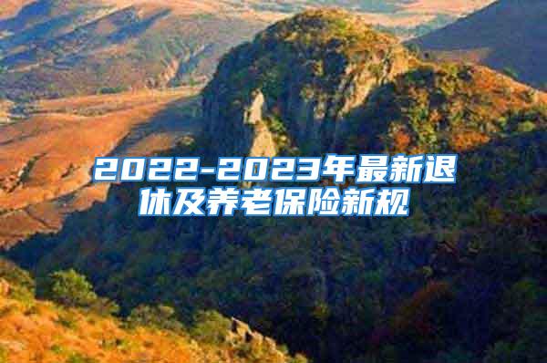 2022-2023年最新退休及养老保险新规