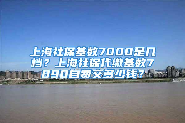 上海社保基数7000是几档？上海社保代缴基数7890自费交多少钱？