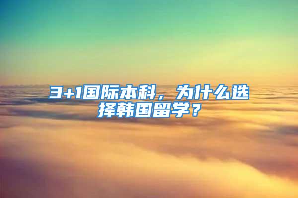 3+1国际本科，为什么选择韩国留学？