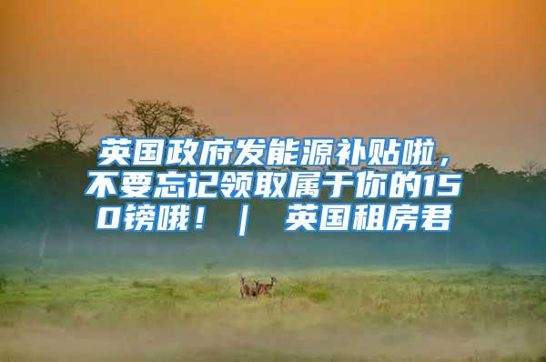 英国政府发能源补贴啦，不要忘记领取属于你的150镑哦！｜ 英国租房君