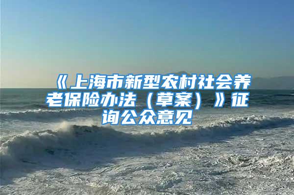 《上海市新型农村社会养老保险办法（草案）》征询公众意见