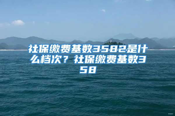 社保缴费基数3582是什么档次？社保缴费基数358