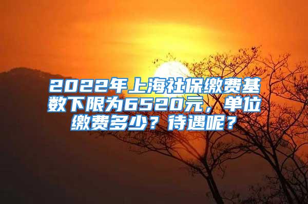 2022年上海社保缴费基数下限为6520元，单位缴费多少？待遇呢？