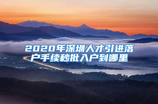 2020年深圳人才引进落户手续秒批入户到哪里