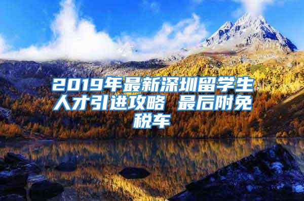 2019年最新深圳留学生人才引进攻略 最后附免税车