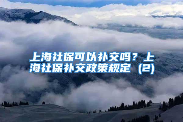 上海社保可以补交吗？上海社保补交政策规定 (2)