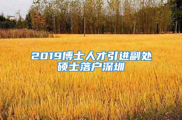 2019博士人才引进副处硕士落户深圳