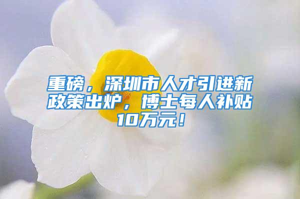 重磅，深圳市人才引进新政策出炉，博士每人补贴10万元！