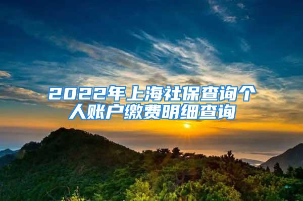 2022年上海社保查询个人账户缴费明细查询