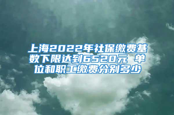 上海2022年社保缴费基数下限达到6520元 单位和职工缴费分别多少