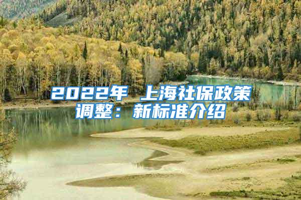 2022年 上海社保政策调整：新标准介绍