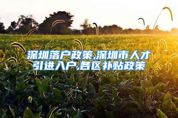 深圳落户政策,深圳市人才引进入户,各区补贴政策