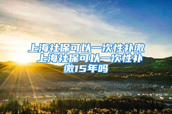 上海社保可以一次性补缴 上海社保可以一次性补缴15年吗