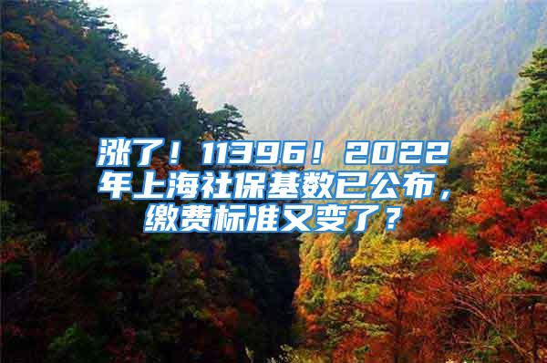 涨了！11396！2022年上海社保基数已公布，缴费标准又变了？