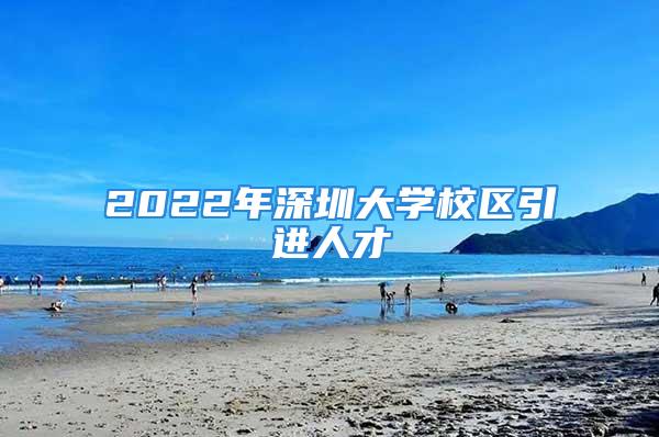 2022年深圳大学校区引进人才