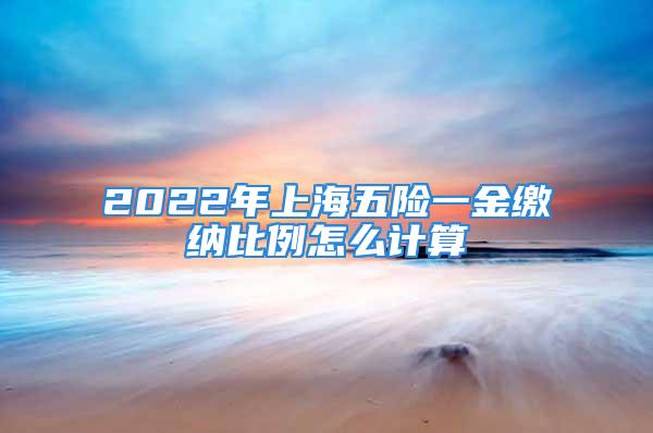 2022年上海五险一金缴纳比例怎么计算