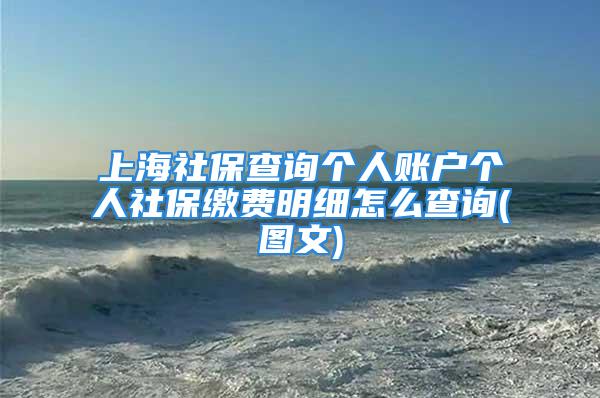 上海社保查询个人账户个人社保缴费明细怎么查询(图文)