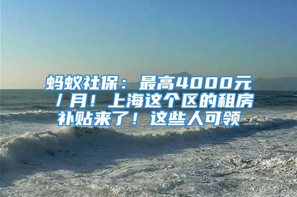 蚂蚁社保：最高4000元／月！上海这个区的租房补贴来了！这些人可领→