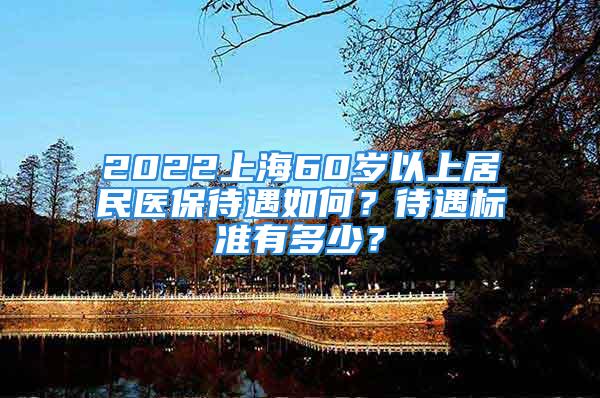 2022上海60岁以上居民医保待遇如何？待遇标准有多少？