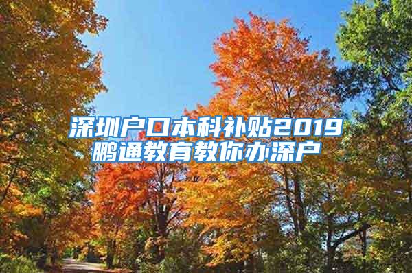 深圳户口本科补贴2019鹏通教育教你办深户