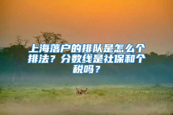 上海落户的排队是怎么个排法？分数线是社保和个税吗？