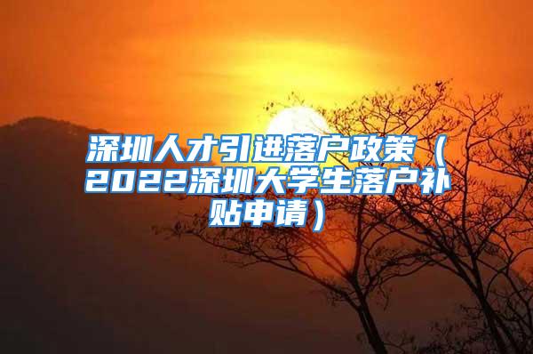 深圳人才引进落户政策（2022深圳大学生落户补贴申请）