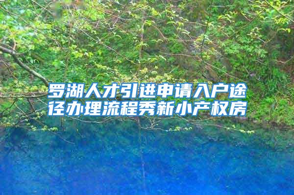 罗湖人才引进申请入户途径办理流程秀新小产权房