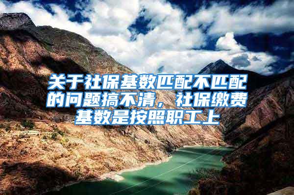 关于社保基数匹配不匹配的问题搞不清，社保缴费基数是按照职工上