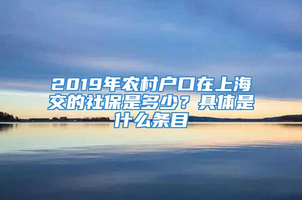 2019年农村户口在上海交的社保是多少？具体是什么条目