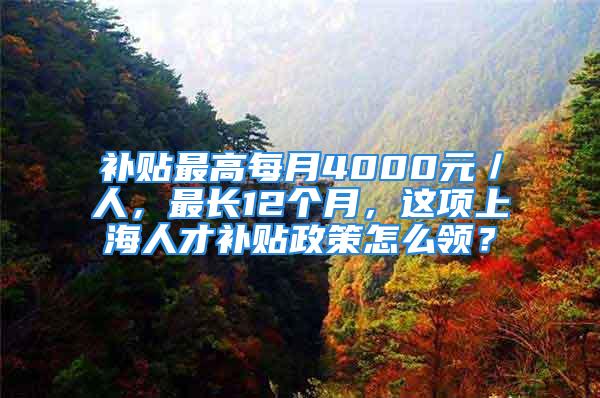 补贴最高每月4000元／人，最长12个月，这项上海人才补贴政策怎么领？