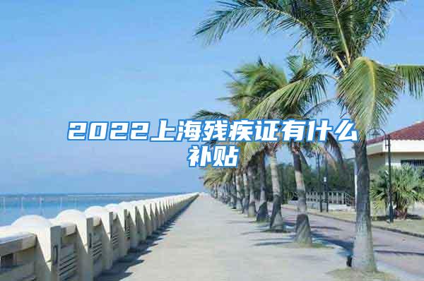 2022上海残疾证有什么补贴