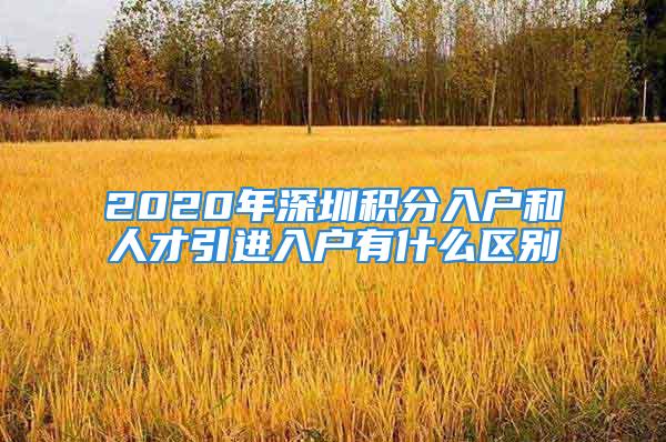 2020年深圳积分入户和人才引进入户有什么区别