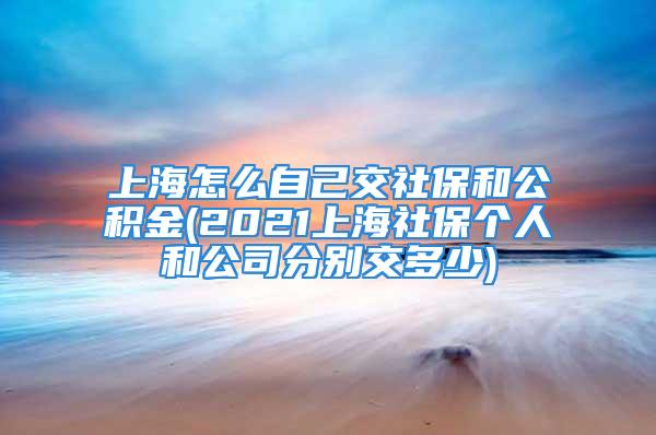 上海怎么自己交社保和公积金(2021上海社保个人和公司分别交多少)