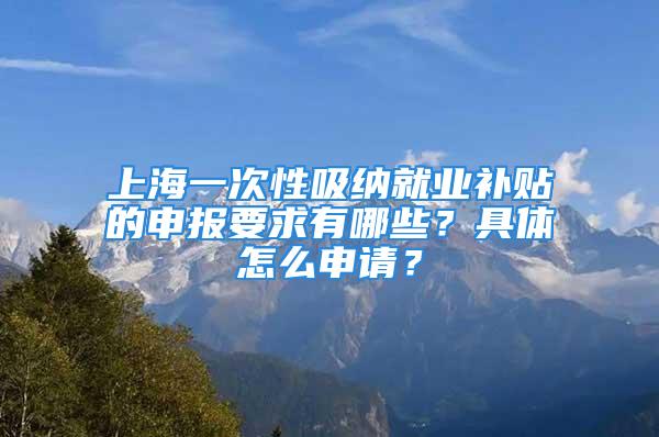 上海一次性吸纳就业补贴的申报要求有哪些？具体怎么申请？